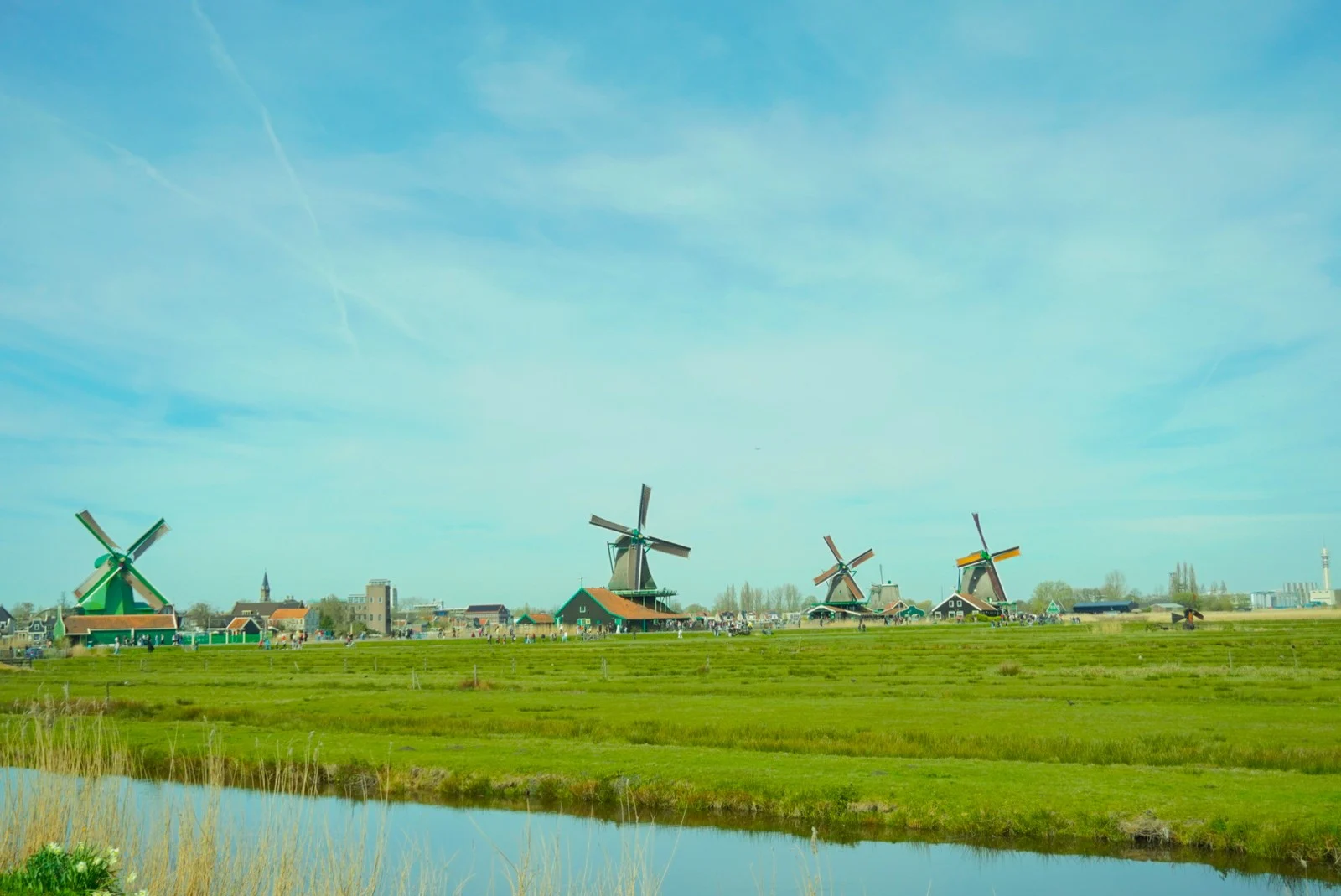 Windmills across the landscape